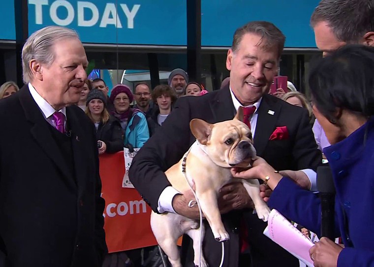 Winston, 2022 National Dog Show winner, stops by TODAY
