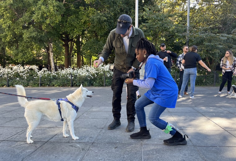 Zoey Henry learned that capturing a great moment with a dog involves getting their attention and quickly snapping the photo.