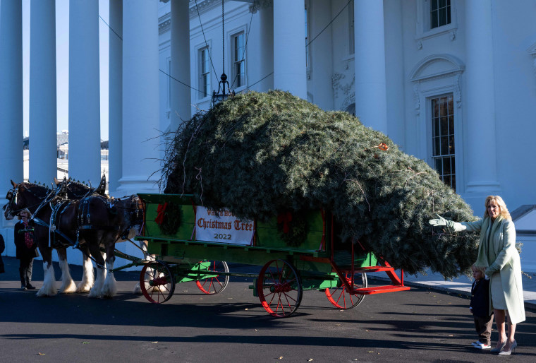 US-POLITICS-BIDEN-HOLIDAY-CHRISTMAS-TREE