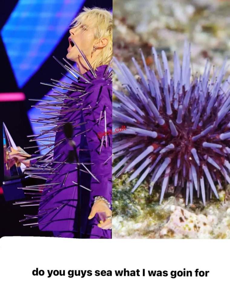 The singer's Instagram story featured his inspiration: a sea urchin.
