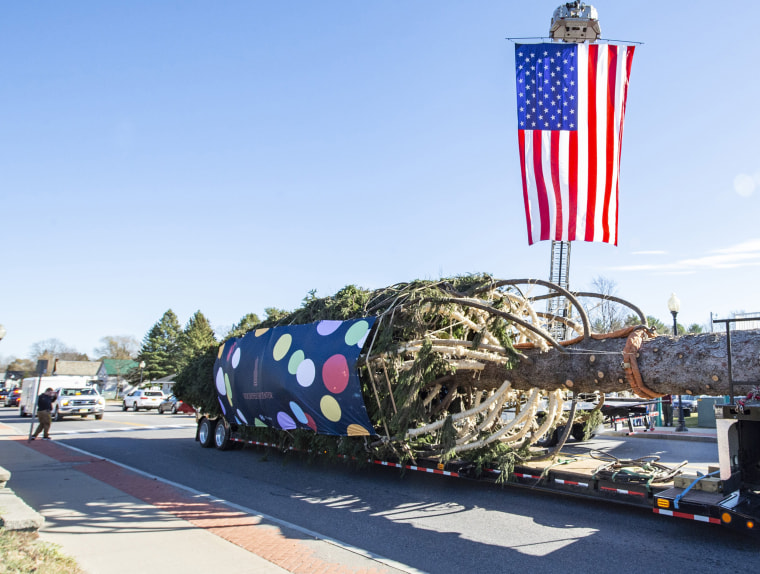 The Rockefeller Center Christmas Tree, an 82-foot tall, 14-ton Norway Spruce, receives a salute from the local fire department as it starts its journey to New York City, Thursday, Nov. 10, 2022, in Queensbury, NY. The wrapped tree will be erected at Rocke