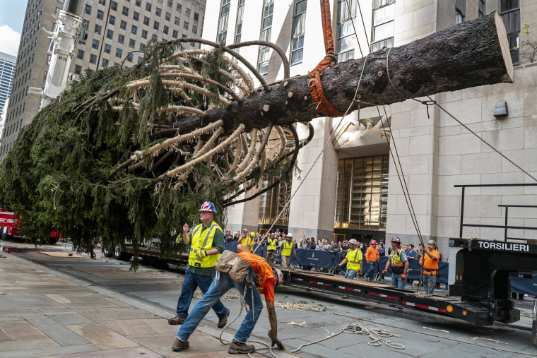 A 12-foot-tall 2D Christmas tree is looking over Fifth Avenue now