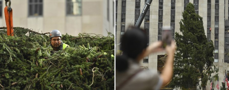 Workers prepare The Rockefeller Center Christmas Tree