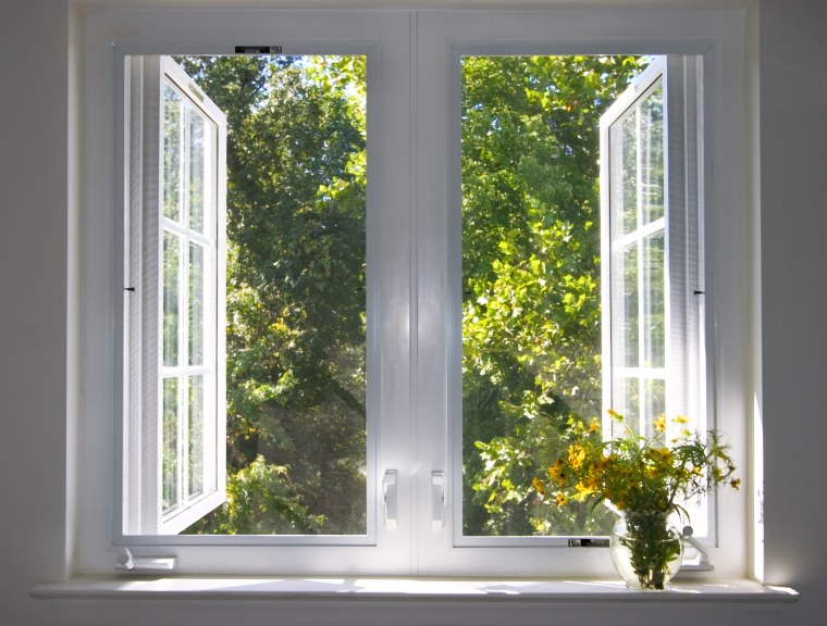sunsplashed window and a view