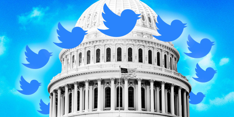 Photo Illustration: Twitter birds circle the U.S. Capitol against a blue sky