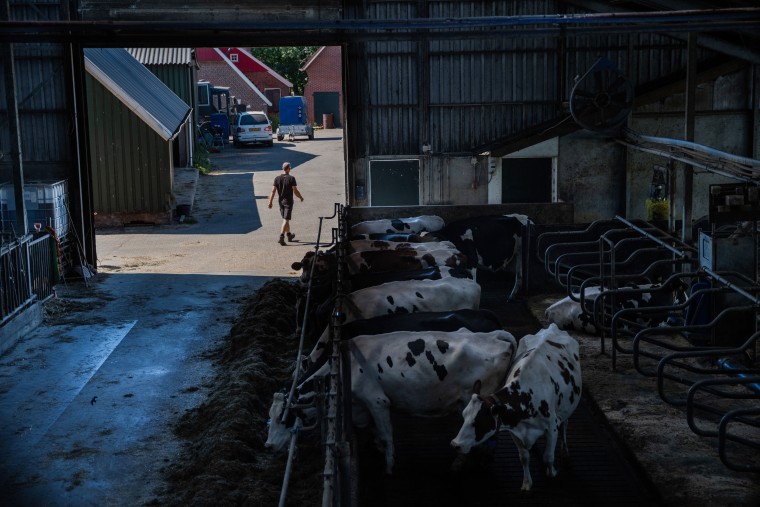 Erik Luiten, 52, is a dairy farmer and farmers' rights activist in the village of Aalten, in the east of the Netherlands near the German border.