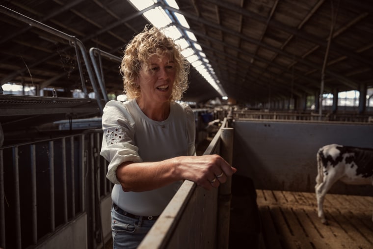 Trienke Elshof-Witteveen, 54, a dairy farmer in the village of Oldetrijne in Friesland.