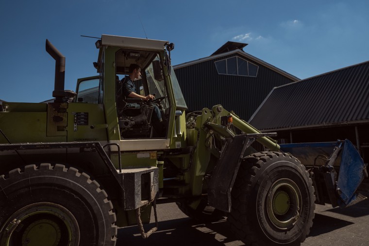 A worker at a farm in the village of Aalten, in the east of the Netherlands near the German border.