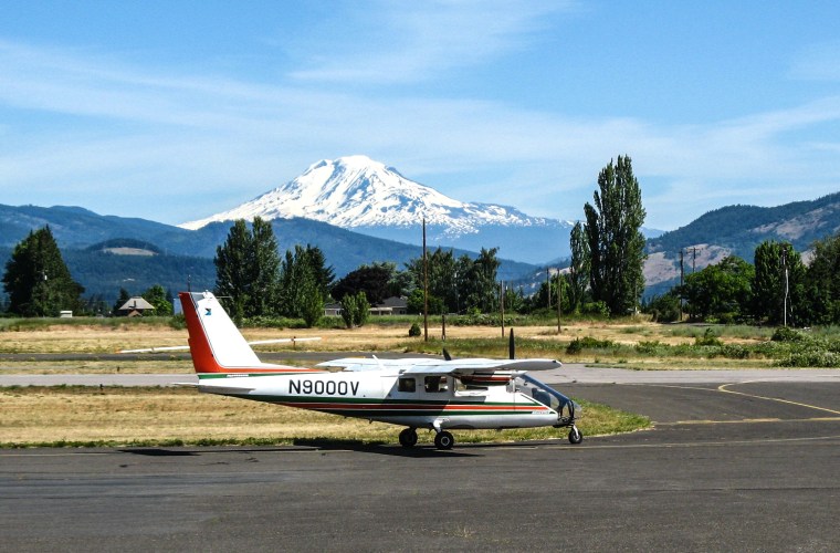 Each summer, small high-wing planes soar about 1,000 feet above the tree canopy at about 100 mph, trained observers peer outside both windows of the plane, looking for noticeable damage to trees. 