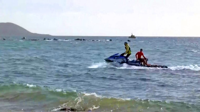 Rescuers hunt  for a missing snorkeler astatine  Keawakapu Point successful  Kihei, Hawaii