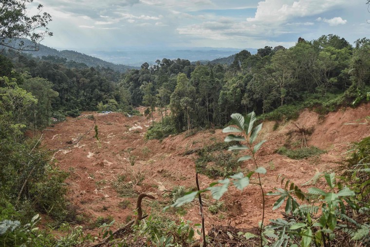 Nearly 20 people, including four children, were killed when a landslide struck a campsite at a Malaysian farm on Friday, officials said, with rescuers scouring the muddy terrain for those still missing.