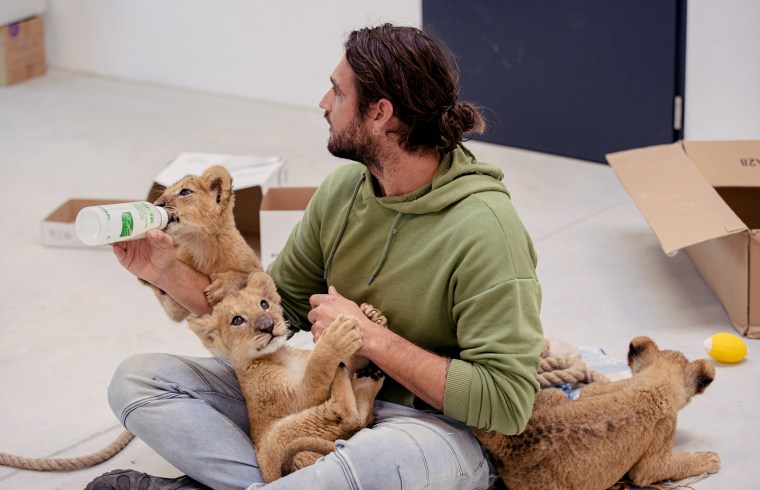 Dr. Andrew Kushnir bottle-feeding a lion cub while another cub plays in his lap at the Poznan Zoo.