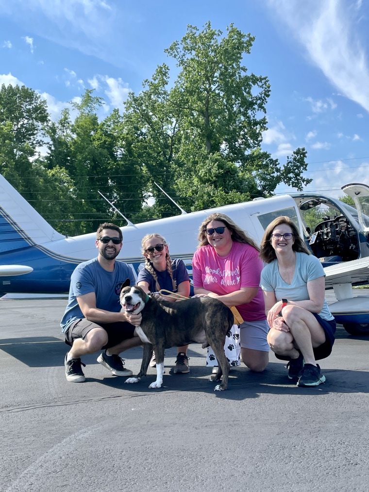 Pilots from the nonprofit Pilots N Paws flew Van Gogh from a shelter in North Carolina to Connecticut in June. 
