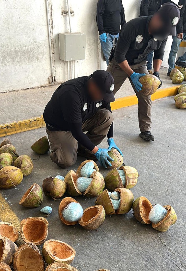 Personal de la Fiscalía General de la República de México revisa un cargamento de droga encontrado en Puerto Libertad, Sonora.