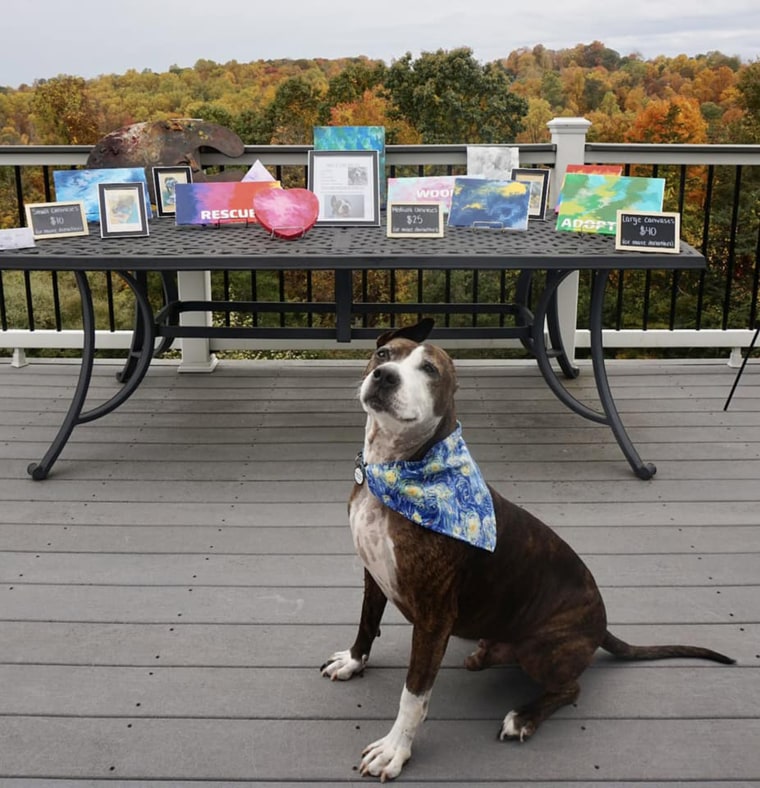 One-eared rescue dog Van Gogh paints his way into adoption