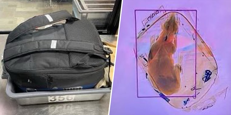 A small dog inside a backpack went through the X-ray machine at the security checkpoint at the airport in Madison, Wisconsin, according to TSA Great Lakes. 