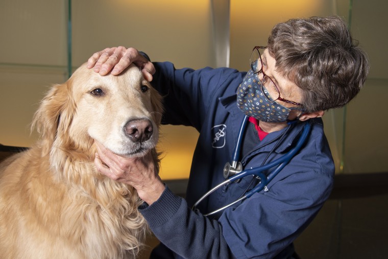 Dr. Lisa Shubitz, a veterinarian and research scientist at the Valley Fever Center for Excellence at the University of Arizona College of Medicine, led the efforts to develop a Valley fever vaccine for dogs.