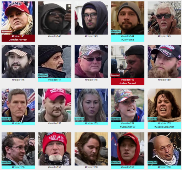 The Sedition Hunters website features images of people online sleuths say took part in the Jan. 6 attack, including many (in blue) who have been identified.