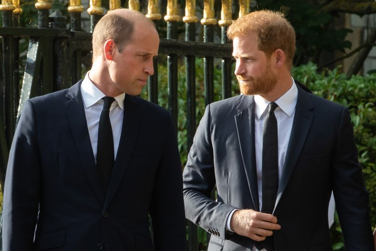 Prince William and Prince Harry at Windsor Castle in Windsor, England