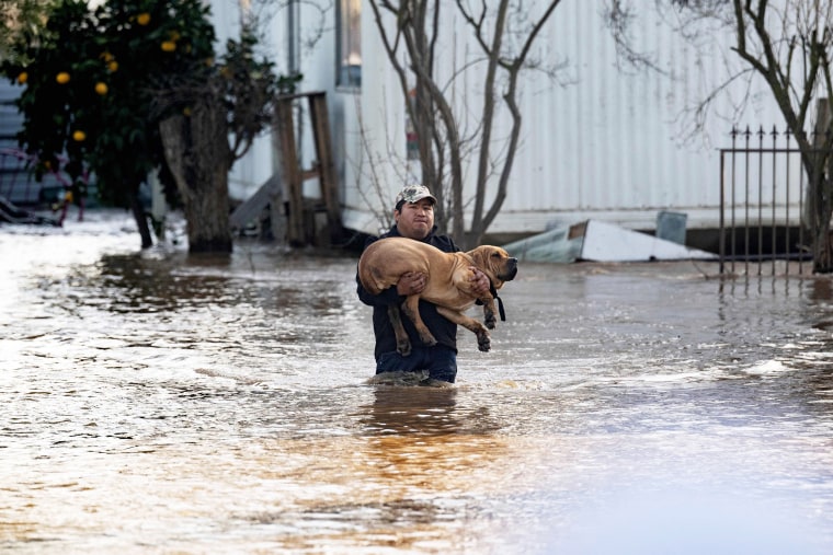Local resident Fidel Osorio rescues a dog from a flooded home in Merced, California, on January 10, 2023. - Relentless storms were ravaging California again Tuesday, the latest bout of extreme weather that has left 14 people dead. Fierce storms caused flash flooding, closed key highways, toppled trees and swept away drivers and passengers -- reportedly including a five-year-old-boy who remains missing in central California.