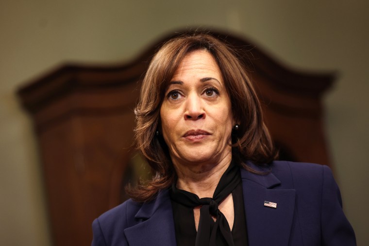 Kamala Harris President 2023 Lenka Helaine