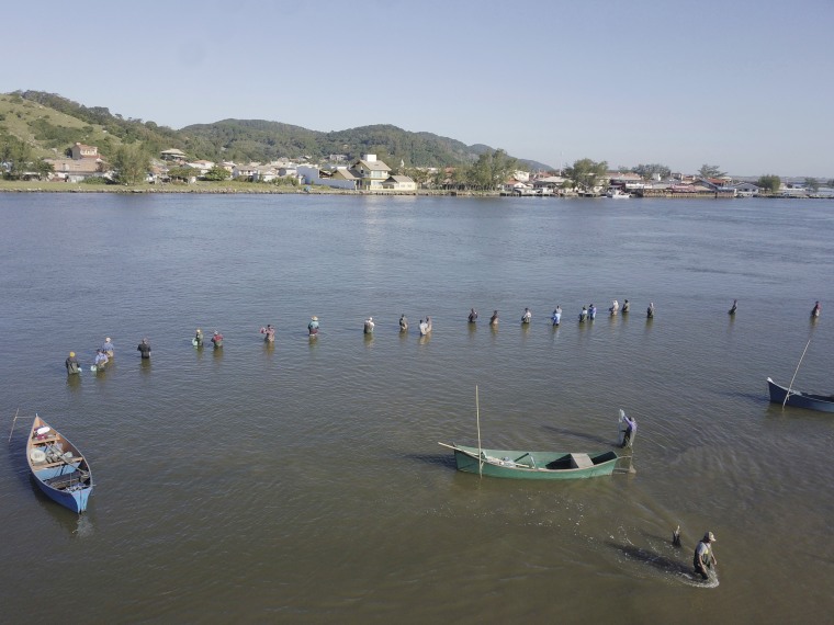 Fishers wait for bottlenose dolphins to approach in Laguna, Brazil, in 2022. 