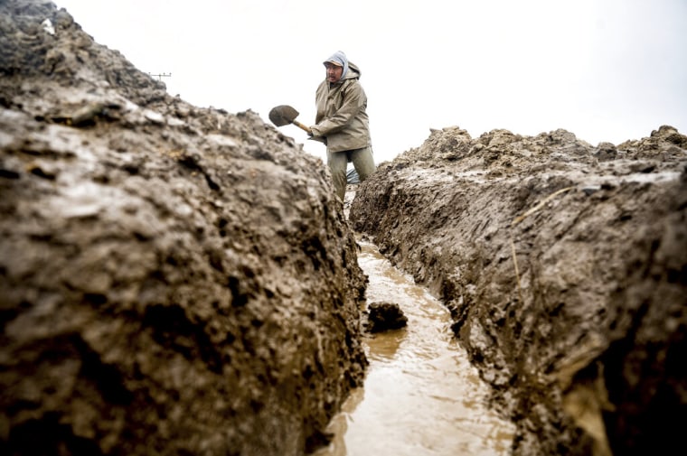 Un trabajador agrícola excava una zanja para drenar el agua y evitar cubra los cultivos de fresas tras el desbordamiento del río Salinas en el condado de Monterey, California, el viernes 13 de enero de 2023.