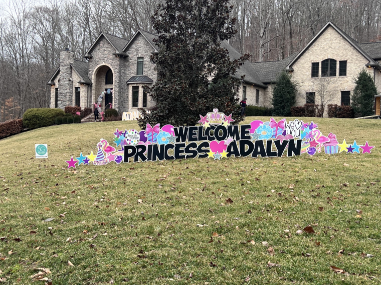 Adalyn McGuire, 3, has terminal cancer, so her Tennessee community threw her an epic birthday party three months early.