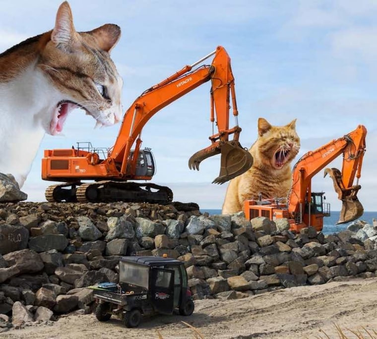 What's the story behind Japan's lucky cats?