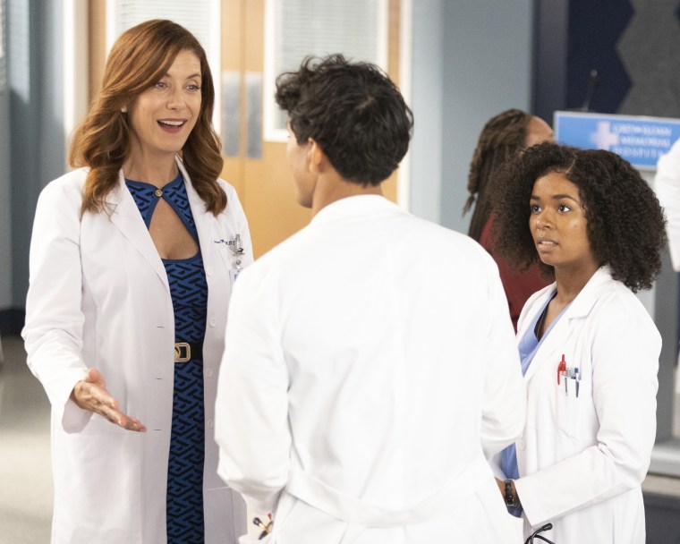 ABC's "Grey's Anatomy" - Season Nineteen