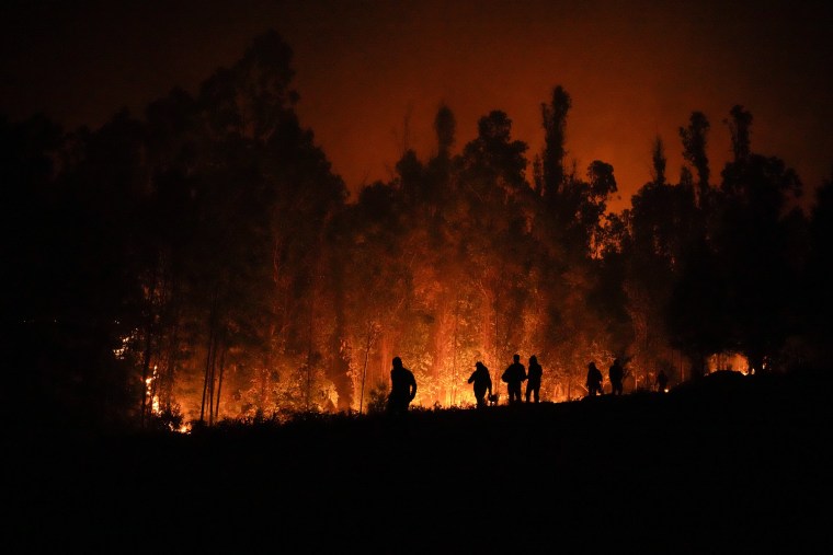 Volunteers carry supplies for firefighters near trees burning in Puren, Chile, on Feb. 4, 2023.