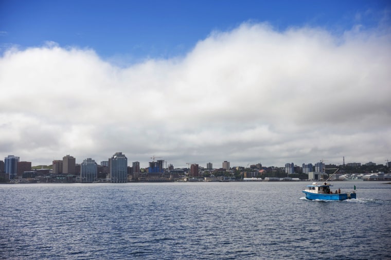 A research team travels by boat to collect samples off Halifax, Nova Scotia.