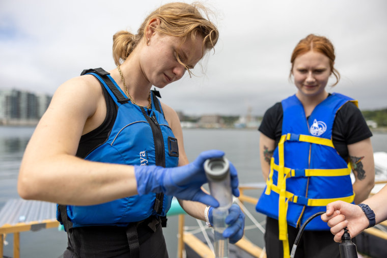 Mikaela Ermanovics works on an experiment in Dartmouth, Nova Scotia last August.