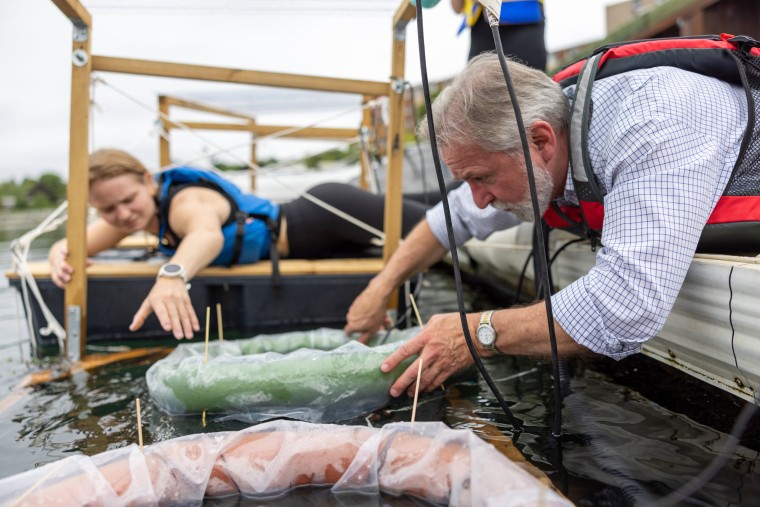 Dalhousie University oceanographer Hugh MacIntyre assists Mikaela Ermanovics in preparing an experiment in Dartmouth, Nova Scotia.