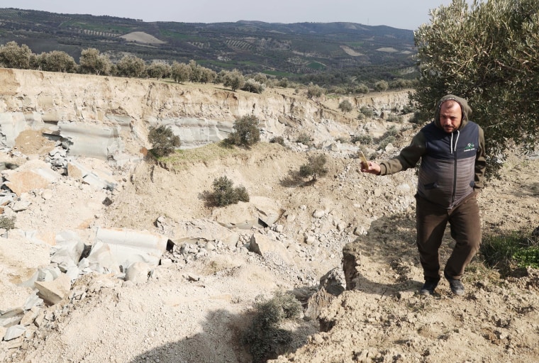 Olive garden split by fissure after earthquakes in Turkiye