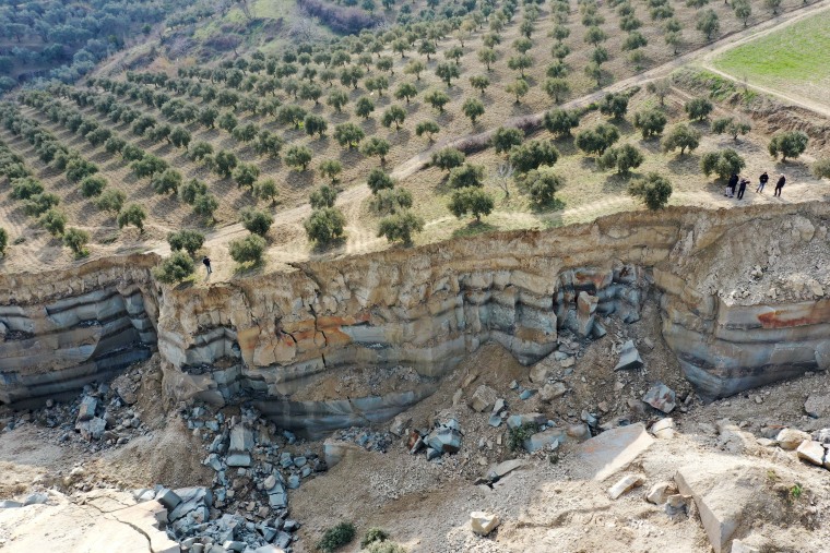 Olive garden split by fissure after earthquakes in Turkiye