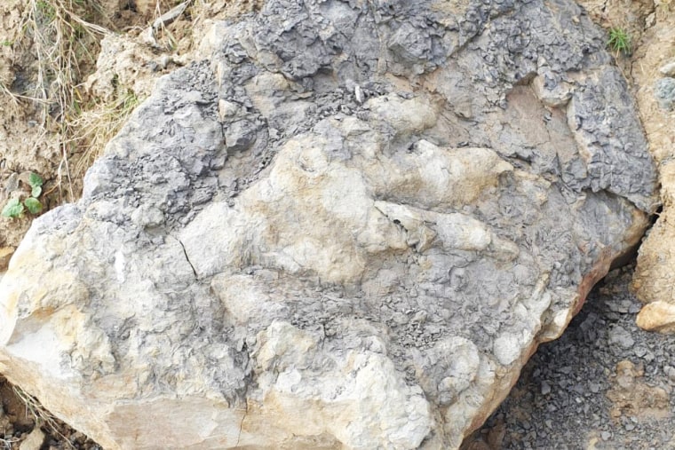 The giant footprint discovered on the Yorkshire coast in northern England. 