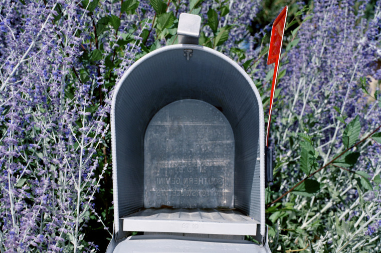 Image: Open empty mailbox among lavender