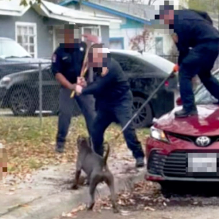 Firefighters defend themselves from a dog that was involved in a deadly dog attack in San Antonio, last year.