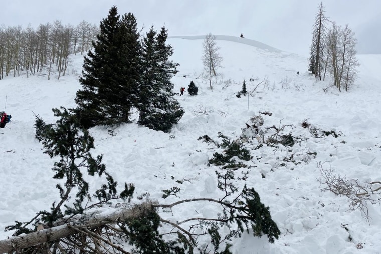 The aftermath of an avalanche at La Manga Pass, Colo., in an image local officials shared Monday. 