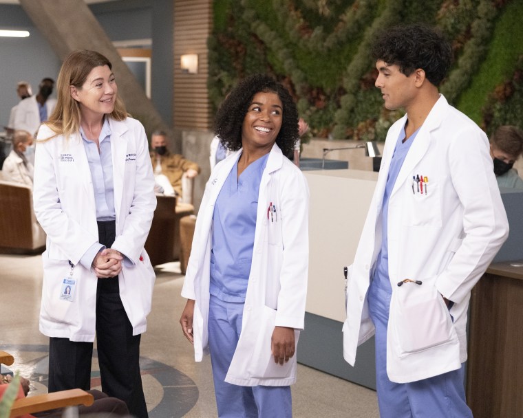 ABC's "Grey's Anatomy" - Season Nineteen