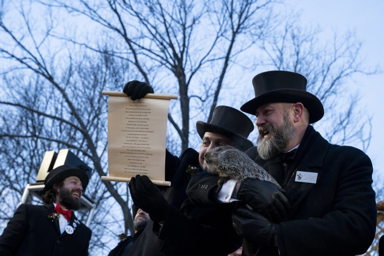 Image: Punxsutawney Phil Looks For His Shadow In Annual Groundhog Day Tradition