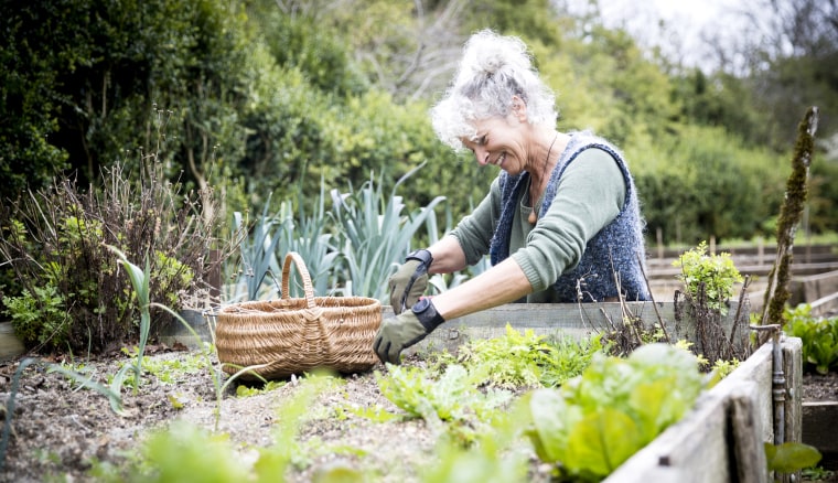 Plant some flowers this Mother's Day, then watch them bloom in all the years to follow.