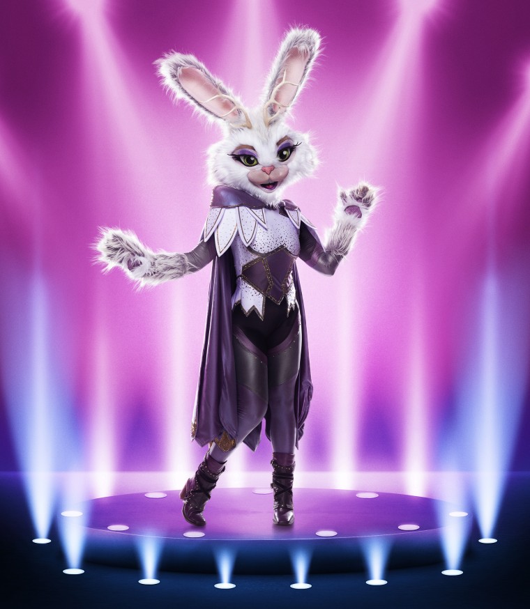 The Masked Singer Season 9 Every Celebrity Revealed