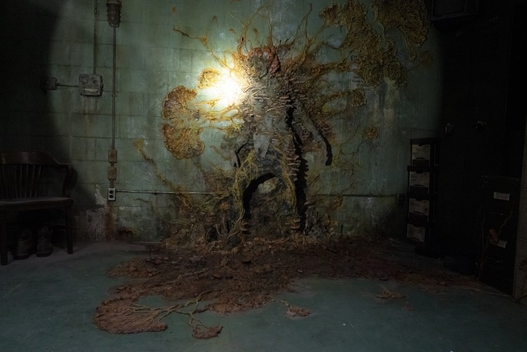 The remains of a human taken over by the fungal parasite are seen on "The Last of Us." 