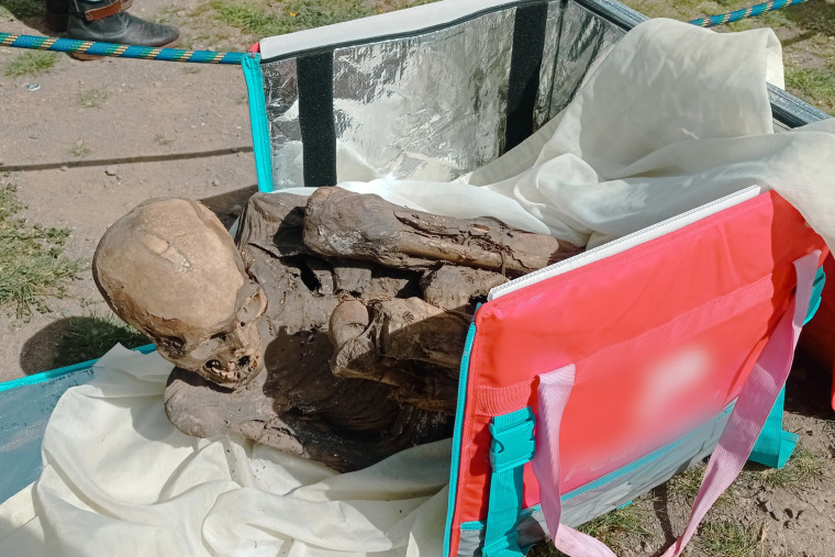 Police are investigating after the mummified body was found in a food delivery bag.