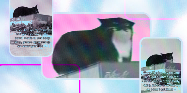 Photo Illustration: Screen grabs of a TikTok featuring a giant animated cat floating over an auto body shop. The caption reads "Guys I lied on my resume and got a job doing social media of this body shop, please blow this up so I don't get fired"