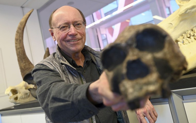 White holds a replica of a  1.7-million-year-old homo erectus skull in the National Research Centre on Human Evolution in Burgos, Spain.