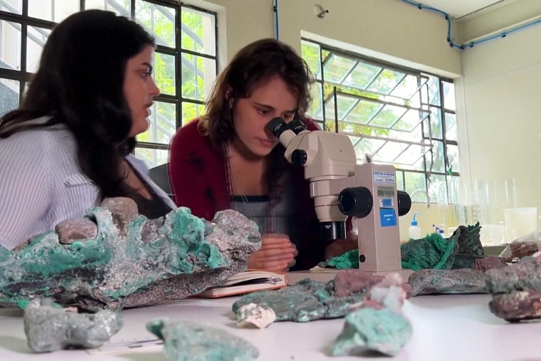 Researcher Fernanda Avelar Santos at the Federal University of Paraná looks through a microscope next to fellow researcher Giovanna Diorio. 