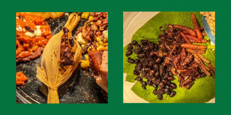 Dishes made with various insects are not "a trend," says Chef Jose Avila, but a way to highlight foods that have been eaten for thousands of years. "It's not all meats and tortillas," the Mexican chef says.